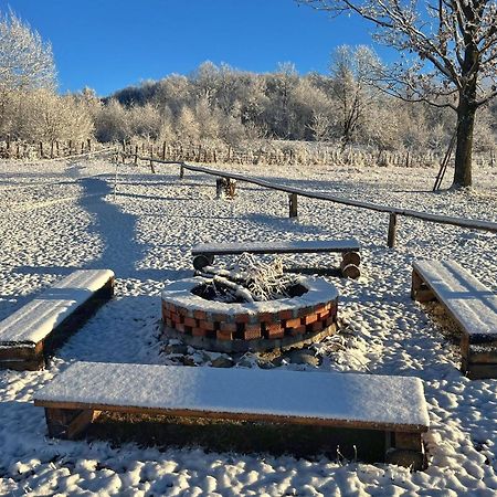Villa Casuta Din Stejari-Transalpina Novaci-Străini Esterno foto