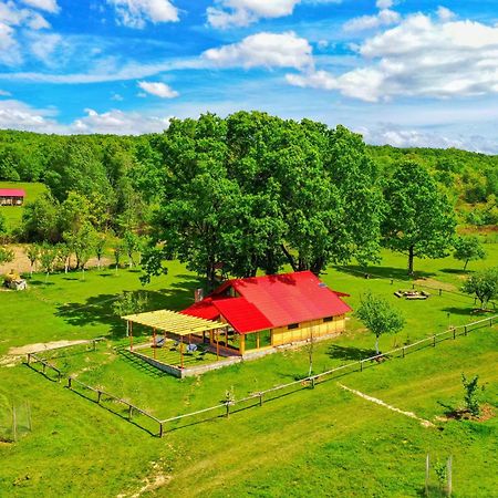 Villa Casuta Din Stejari-Transalpina Novaci-Străini Esterno foto