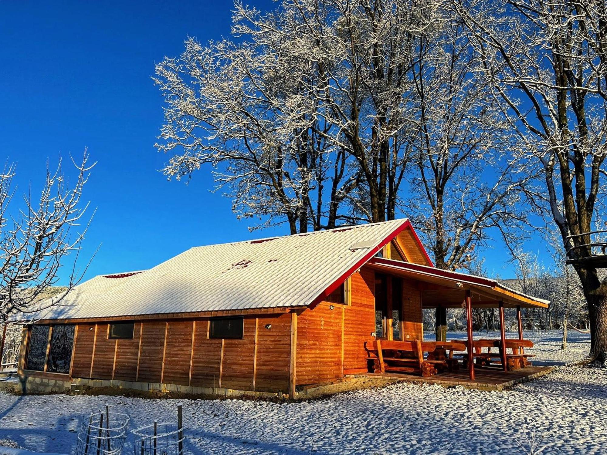 Villa Casuta Din Stejari-Transalpina Novaci-Străini Esterno foto