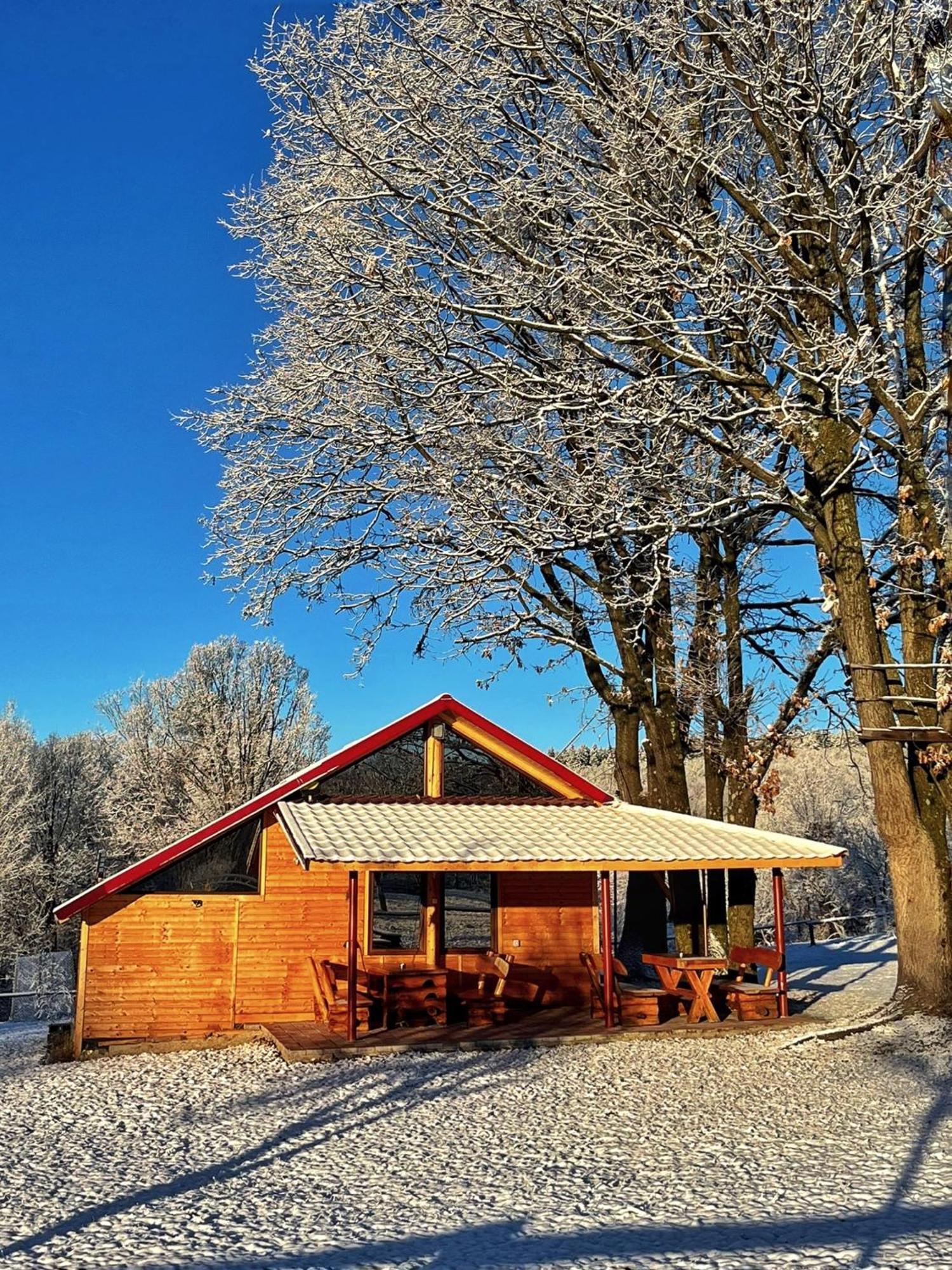 Villa Casuta Din Stejari-Transalpina Novaci-Străini Esterno foto
