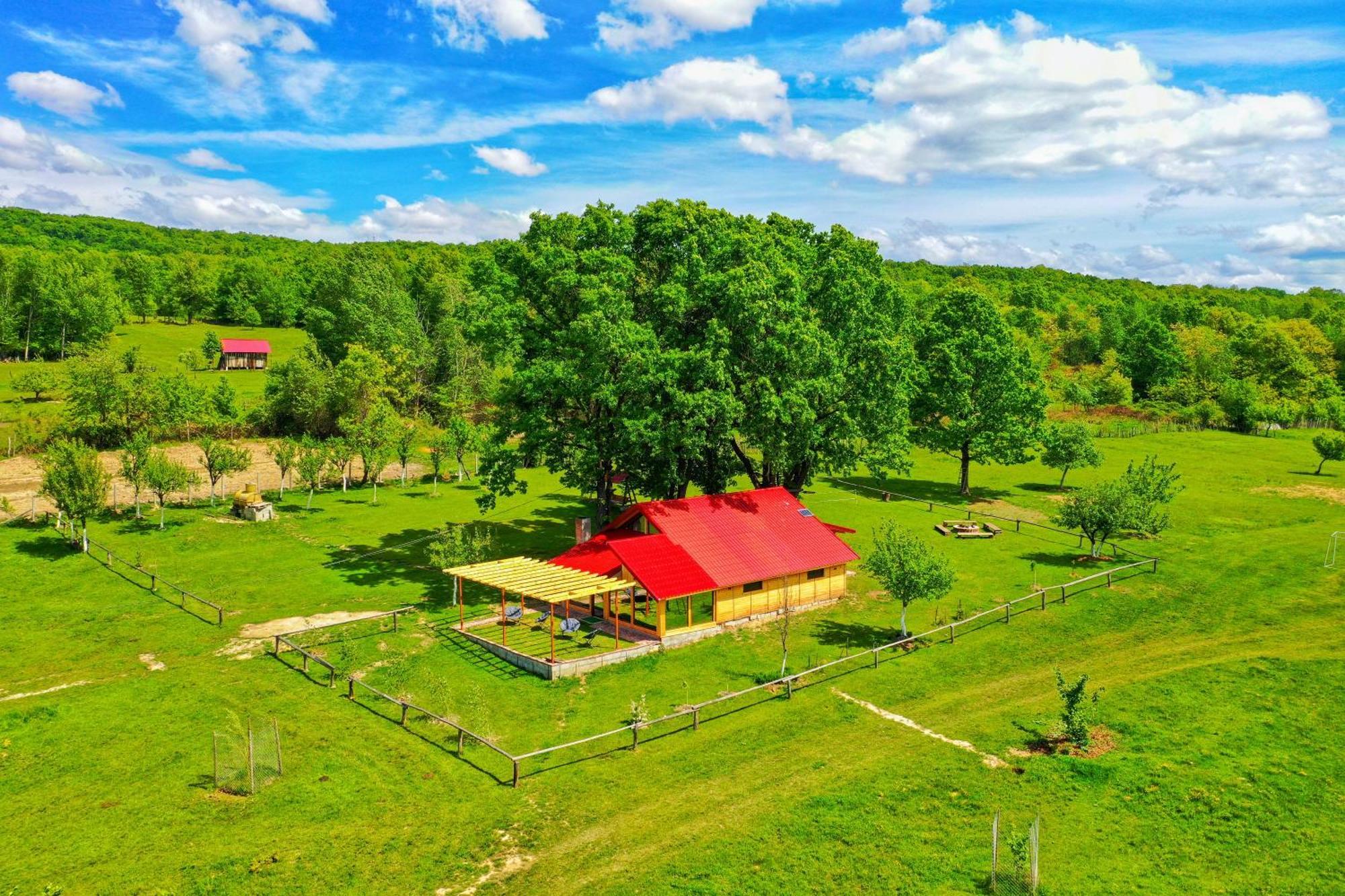 Villa Casuta Din Stejari-Transalpina Novaci-Străini Esterno foto